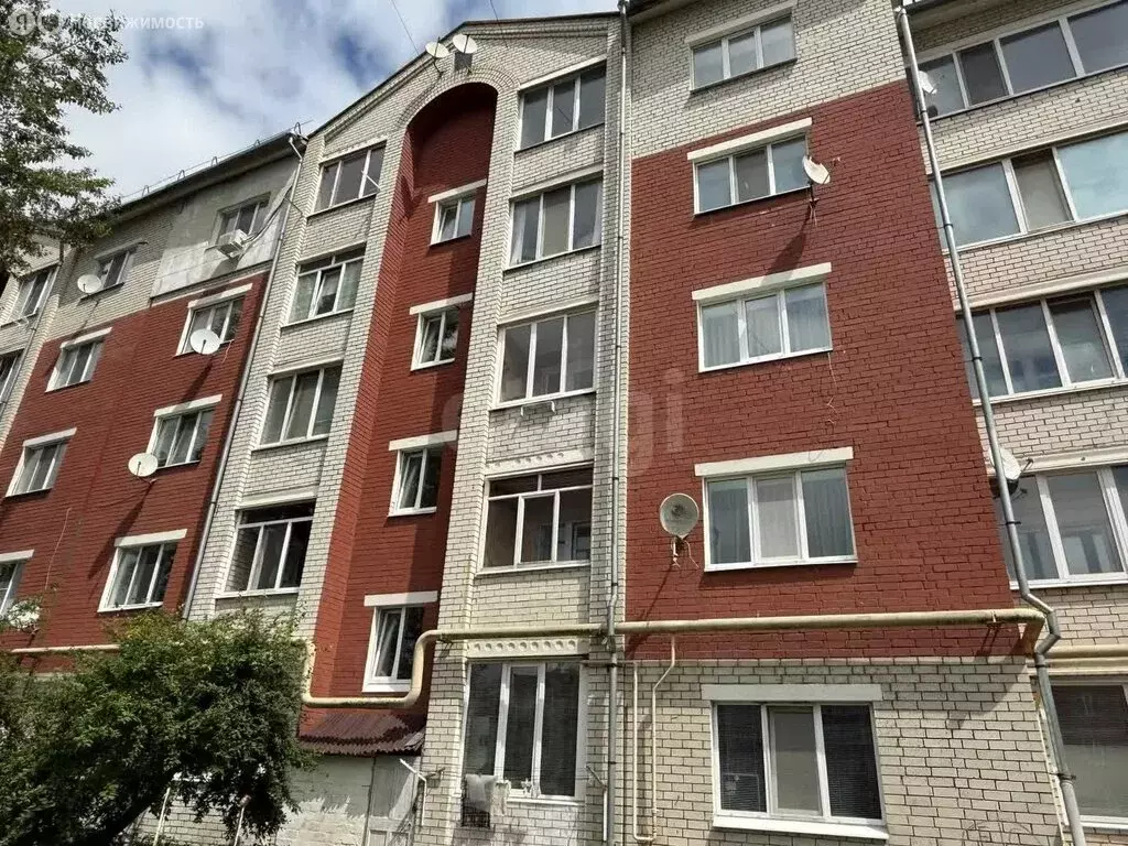 1-комнатная квартира: посёлок Новые Дарковичи, 17 (40.4 м) - Фото 0