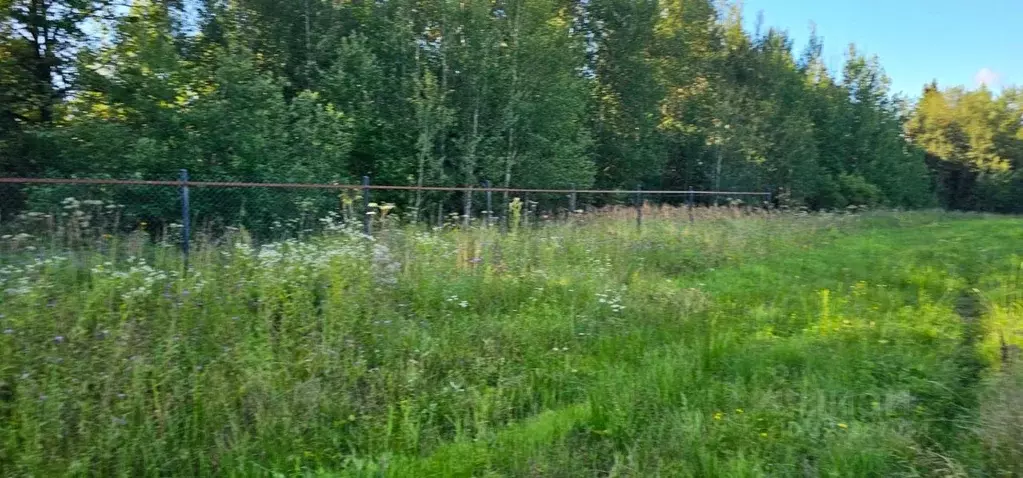 Участок в Московская область, Истра муниципальный округ, д. Назарово, ... - Фото 2