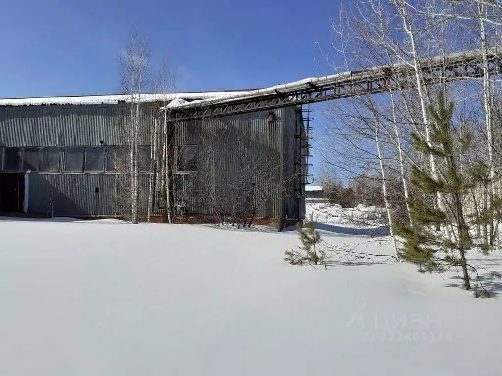 Производственное помещение в Свердловская область, Новоуральск  (8276 ... - Фото 1