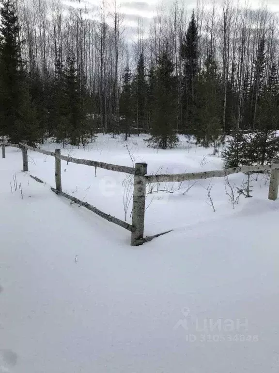 Участок в Ханты-Мансийский АО, Ханты-Мансийск Медик СОТ,  (10.0 сот.) - Фото 0