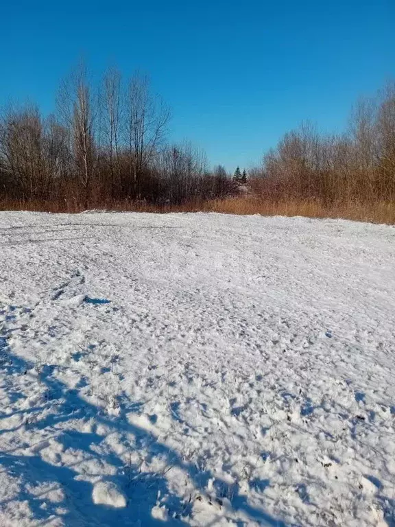 Участок в Белгородская область, Красногвардейский район, Засосенское ... - Фото 2