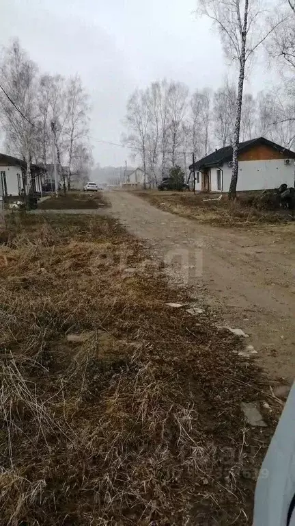 Участок в Новосибирская область, Новосибирский район, Станционный ... - Фото 1