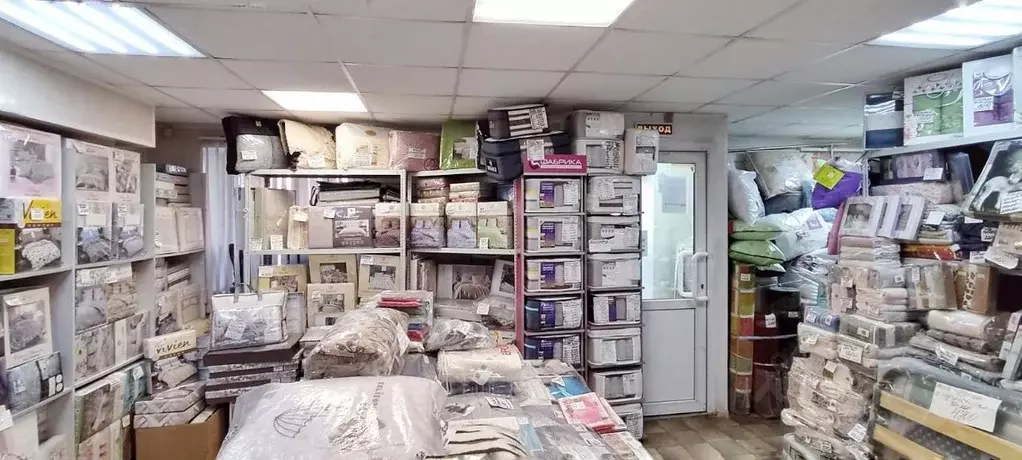 Помещение свободного назначения в Тульская область, Тула ул. Фрунзе, 4 ... - Фото 2