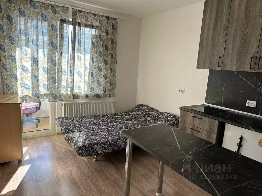 Студия Санкт-Петербург наб. Реки Каменки, 19к4 (17.0 м) - Фото 0