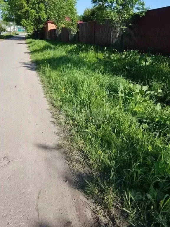 Участок в Нижегородская область, Богородский район, с. Дуденево ... - Фото 1