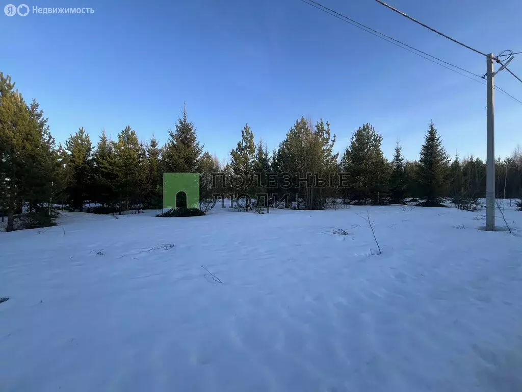 Участок в Завьяловский район, деревня Сепыч (8 м) - Фото 2