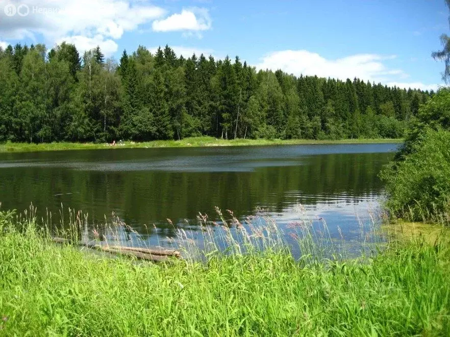 Участок в деревня Сивково, КП Зелёная роща-1, 2006А (15 м) - Фото 1