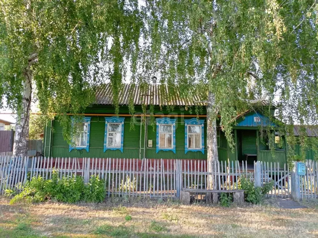 Дом в Воронежская область, Борисоглебский городской округ, с. Чигорак ... - Фото 1