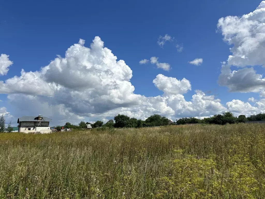 Участок в Нижегородская область, Арзамас городской округ, Выездное рп  ... - Фото 1