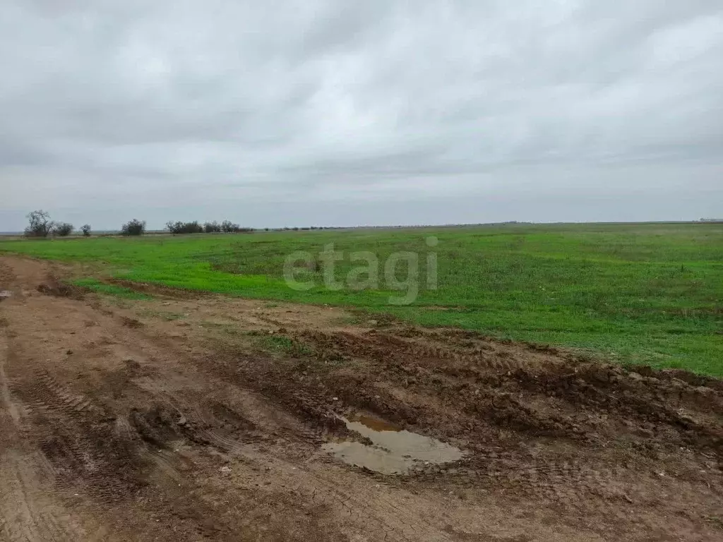 Участок в Крым, Сакский район, с. Уютное  (867.74 сот.) - Фото 1