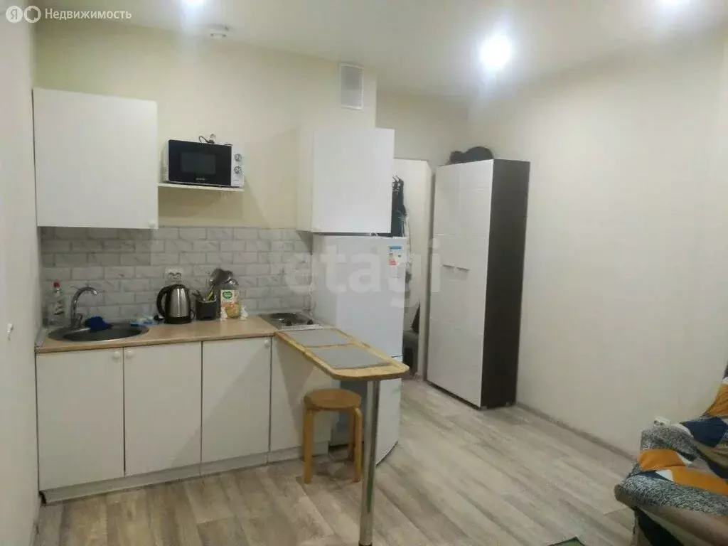 Квартира-студия: Санкт-Петербург, Дизельный проезд, 11к1 (22 м) - Фото 2