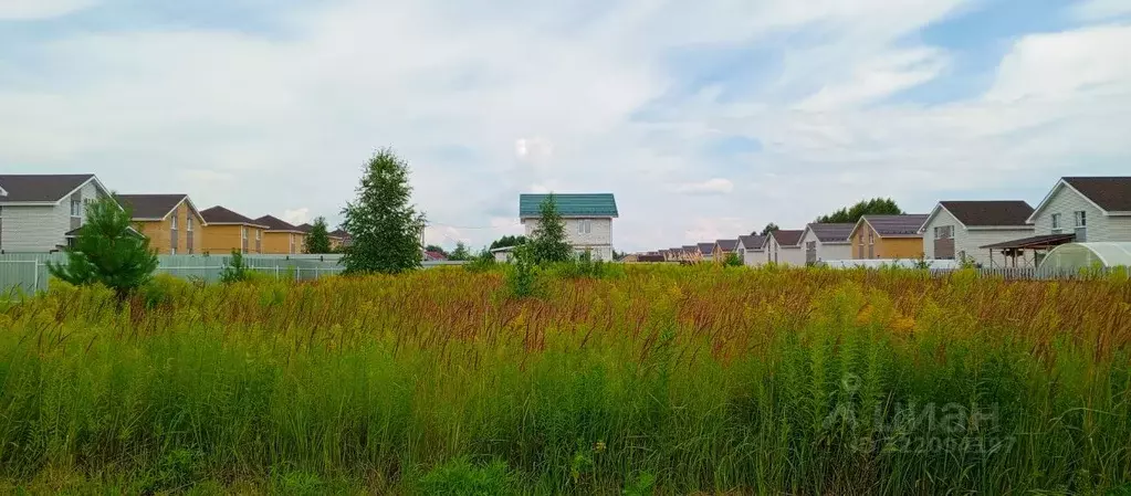 Участок в Нижегородская область, Бор муниципальный округ, пос. ... - Фото 2