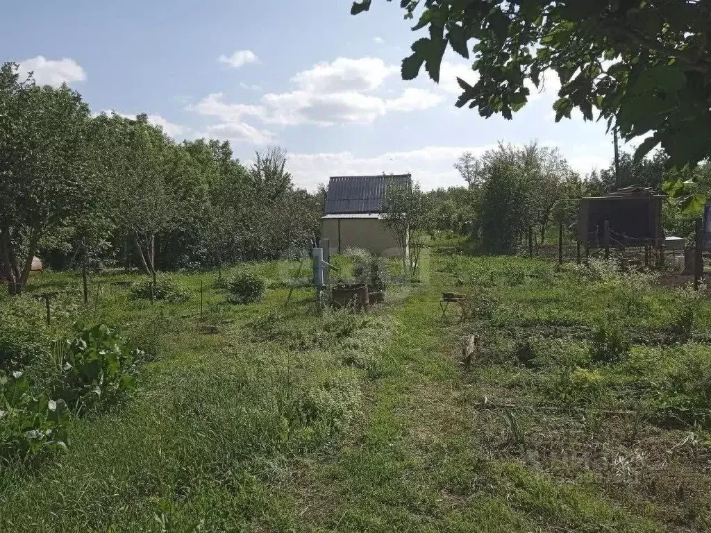 Дом в Оренбургская область, Оренбург ПО Мир СНТ, ул. Вишневая (12 м) - Фото 1