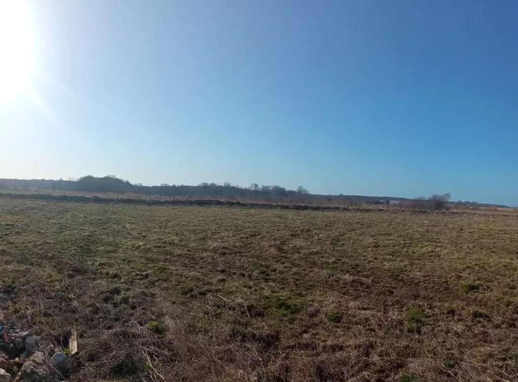 Участок в Калининградская область, Гурьевский муниципальный округ, ... - Фото 1