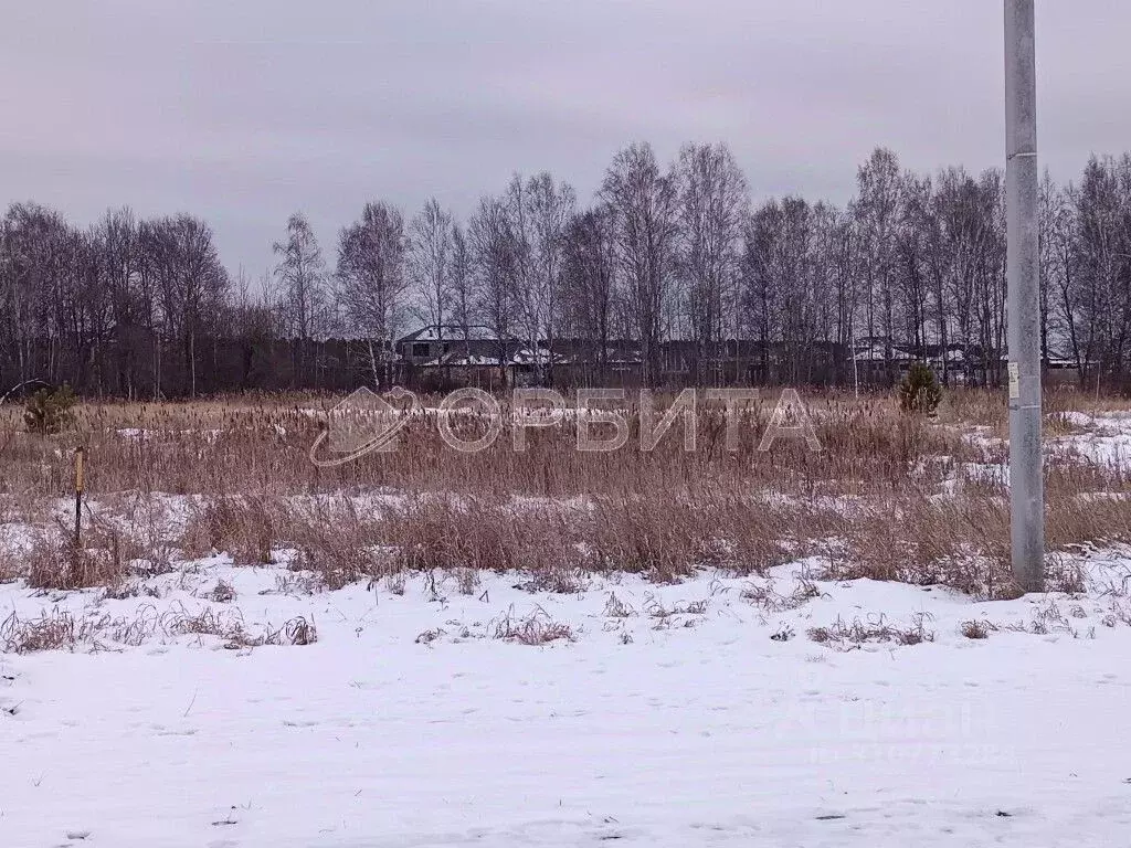 Участок в Тюменская область, Тюменский район, д. Падерина Луговая ул. ... - Фото 1