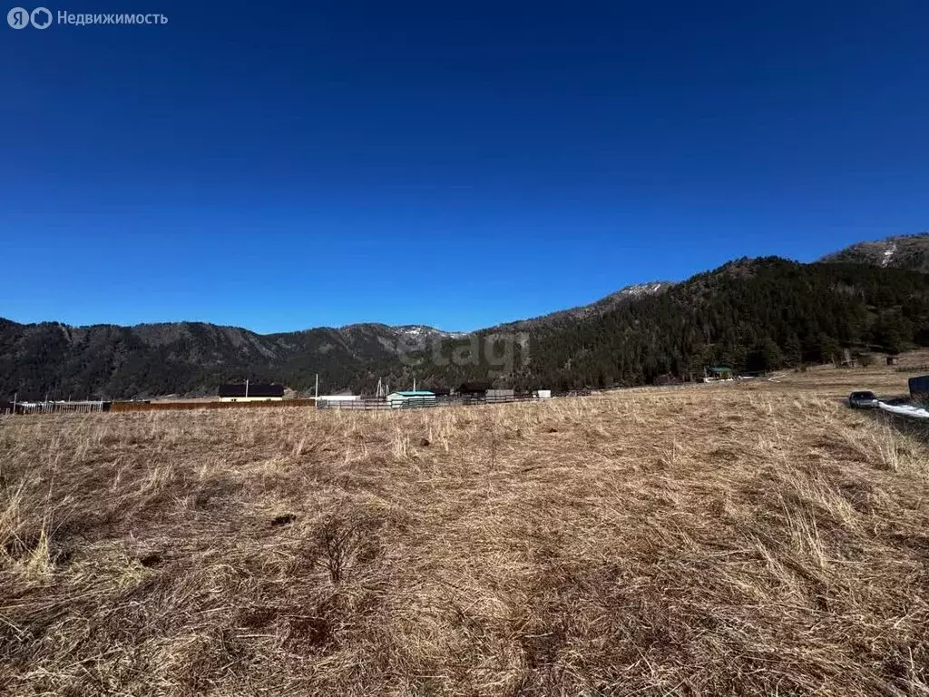 Участок в Чемальский район, село Чепош (10 м) - Фото 2