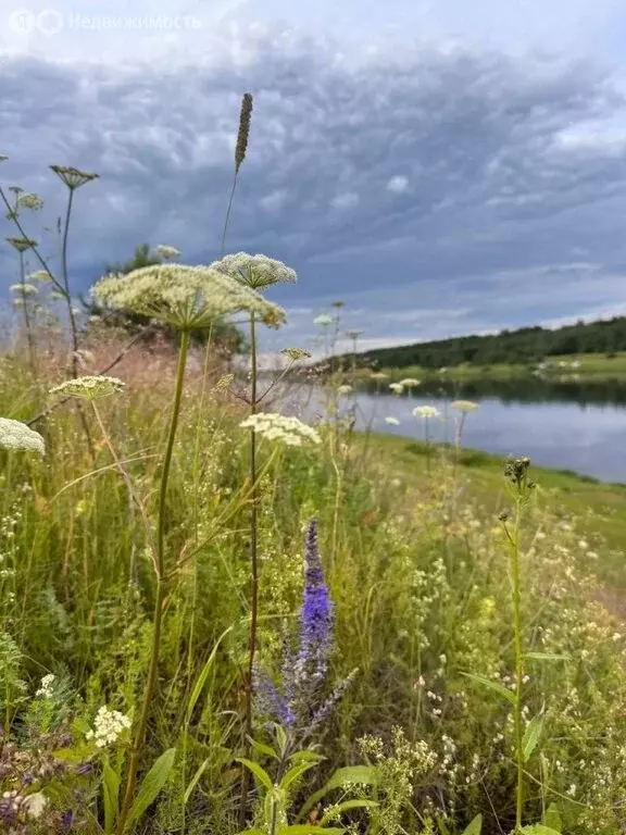 Участок в Тверская область, Калининский муниципальный округ, деревня ... - Фото 1