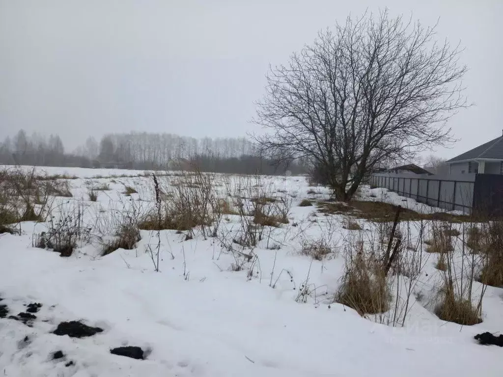 Участок в Белгородская область, Губкинский городской округ, с. ... - Фото 0