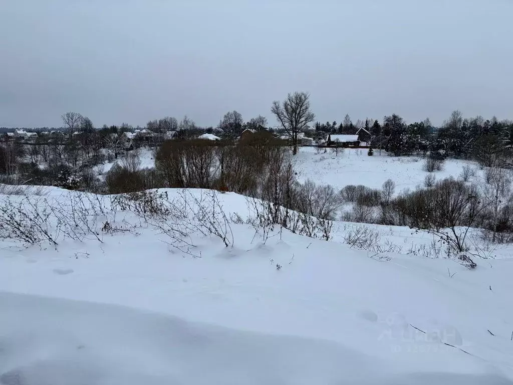 Участок в Московская область, Ступино городской округ, д. Прудно ул. ... - Фото 2