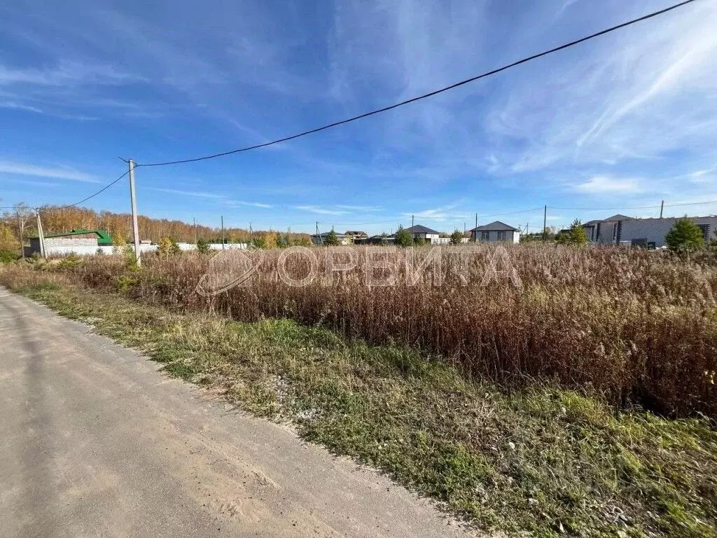 Участок в Тюменская область, Тюменский муниципальный округ, с. ... - Фото 2