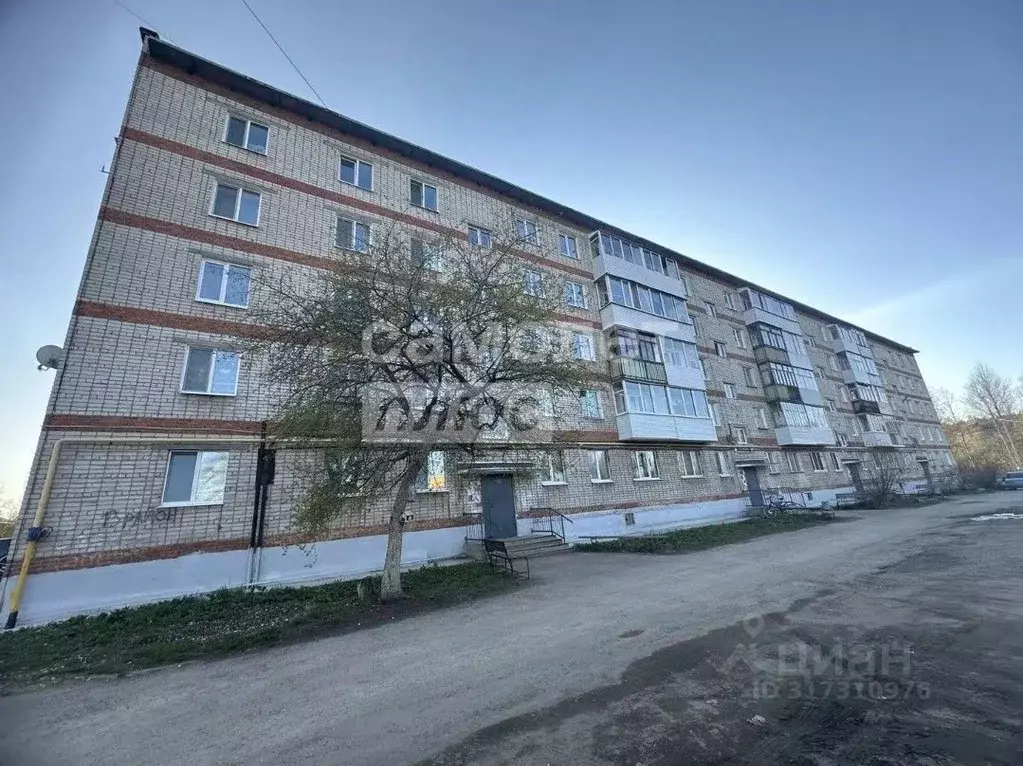 1-к кв. Пермский край, Краснокамск ул. Пушкина, 9 (29.8 м) - Фото 0