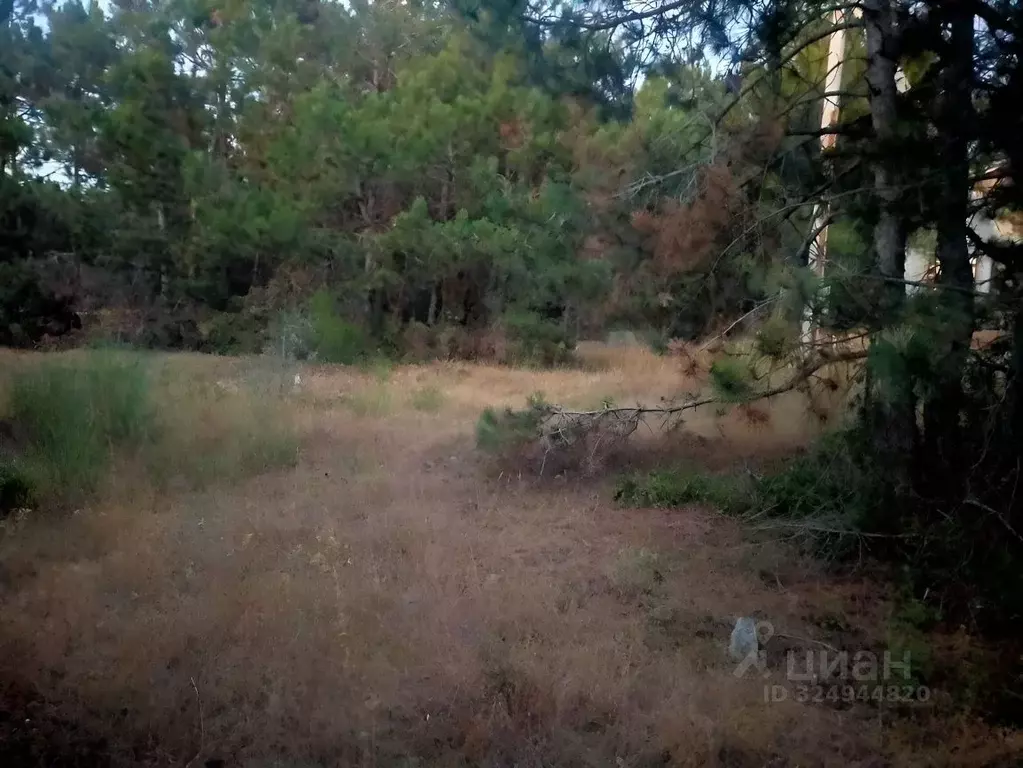 Участок в Севастополь Балаклавский муниципальный округ, Лазурь ТСН,  ... - Фото 1