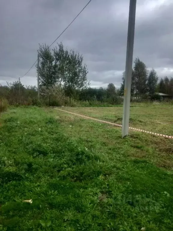 Участок в Калининградская область, Зеленоградский муниципальный округ, ... - Фото 1