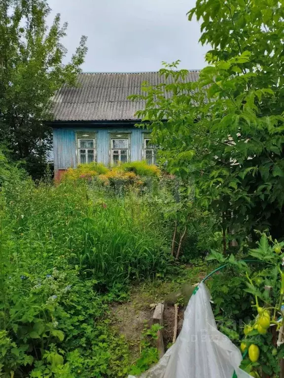 Участок в Брянская область, Брянск ул. Фокина (5.33 сот.) - Фото 1