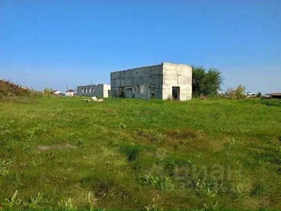 Участок в Челябинская область, Сосновский муниципальный округ, д. ... - Фото 2