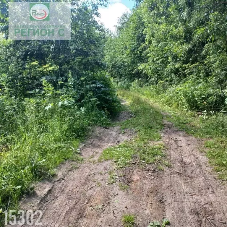 Участок в Архангельская область, Архангельск ул. Боры, 708 (10.0 сот.) - Фото 1