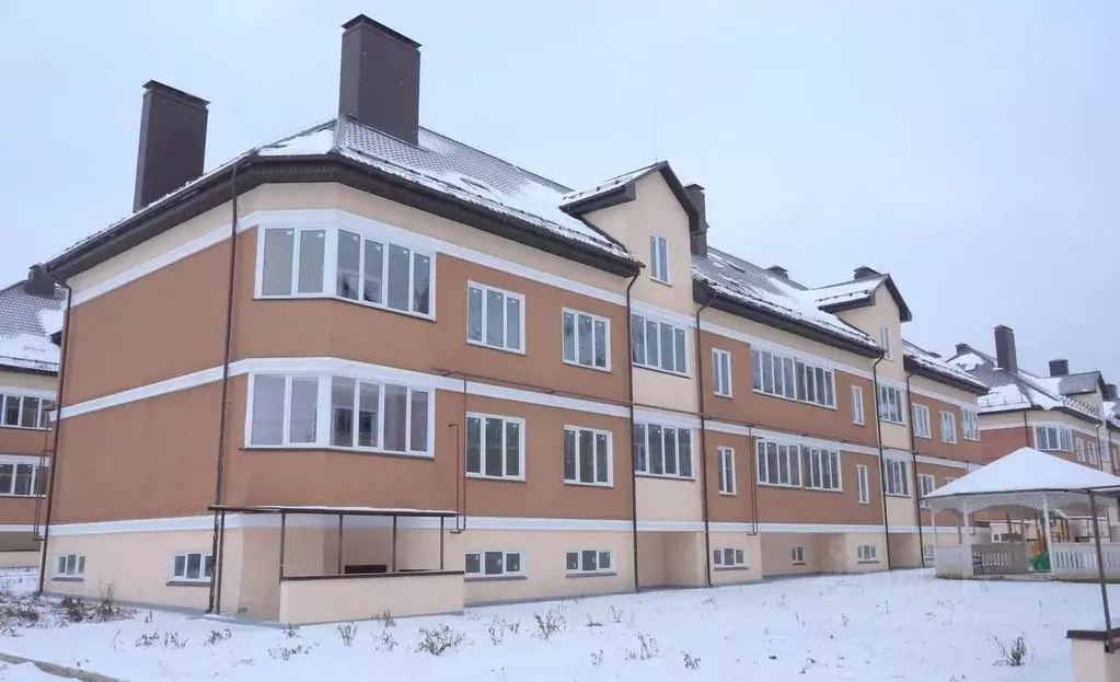 1-к кв. Московская область, Истра муниципальный округ, с. Павловская ... - Фото 1