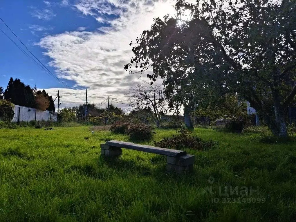 Дом в Калининградская область, Зеленоградск Прибой садоводческое ... - Фото 0