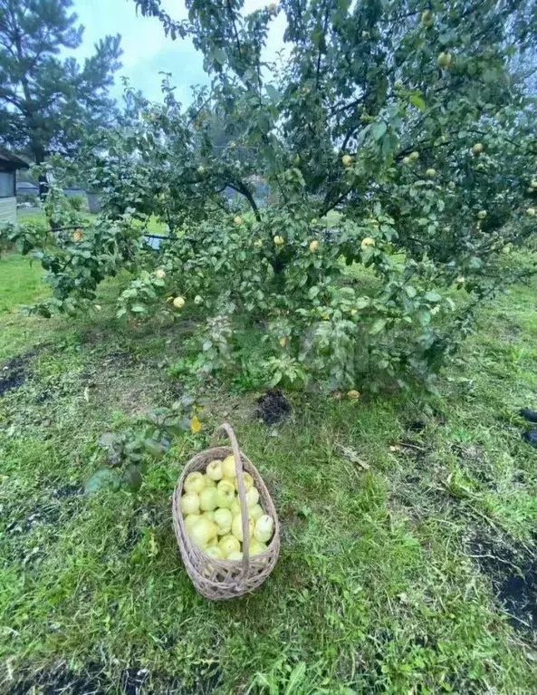 Дом 67 м на участке 10 сот. - Фото 1
