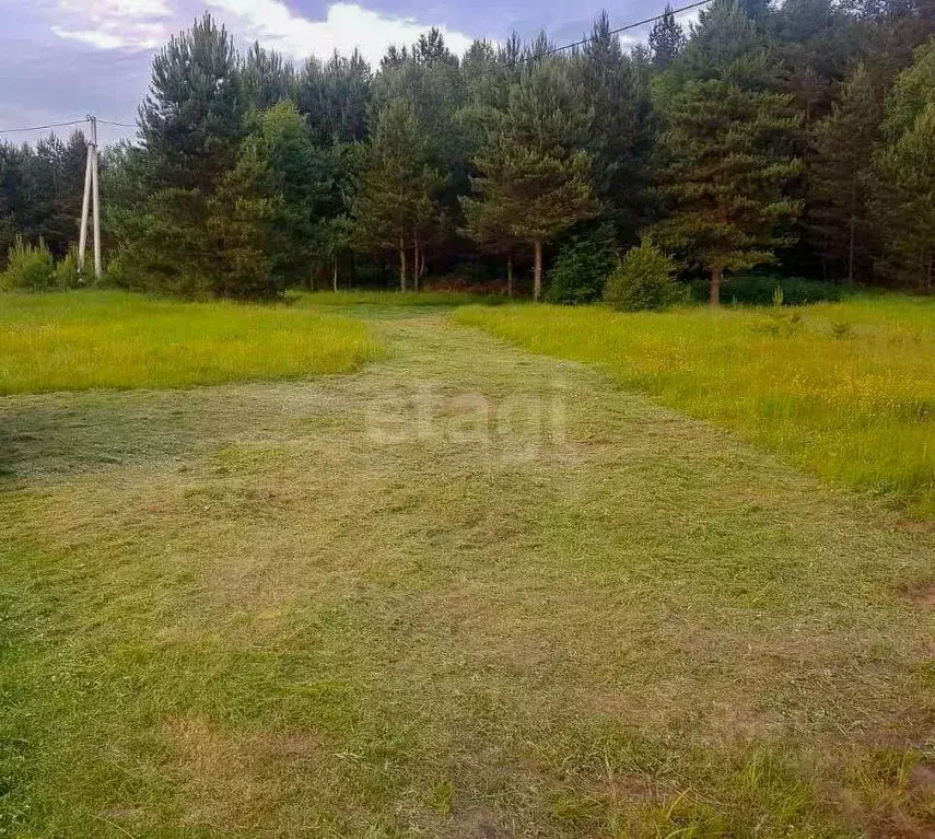 Участок в Ярославская область, Некрасовский муниципальный округ, ... - Фото 1