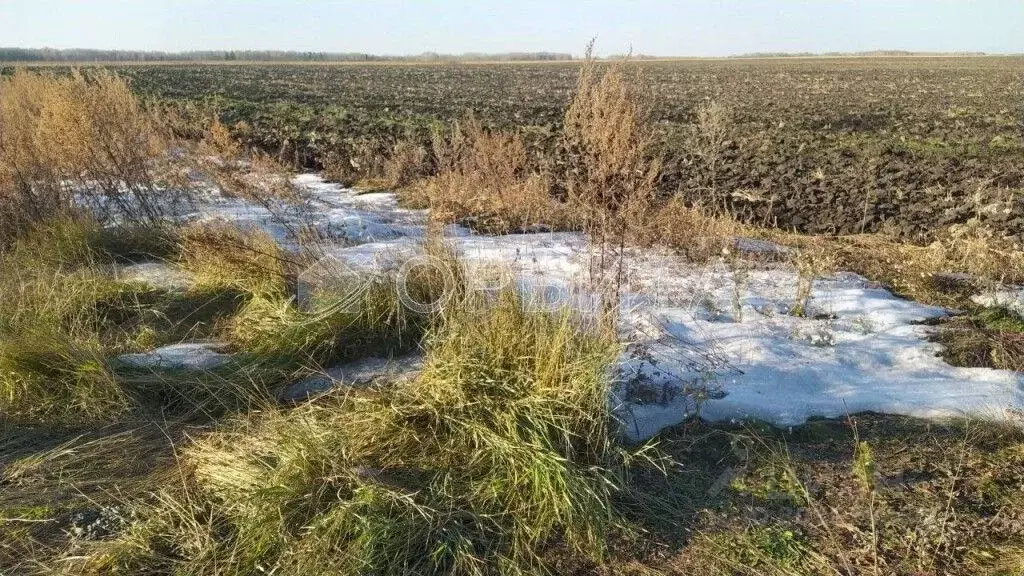 Участок в Тюменская область, Тюменский район, д. Елань  (7.0 сот.) - Фото 1