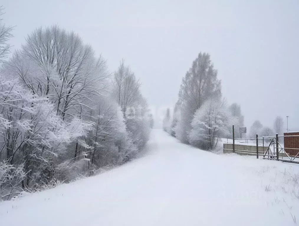Участок в Ленинградская область, Киришский район, Пчевжинское с/пос, ... - Фото 1