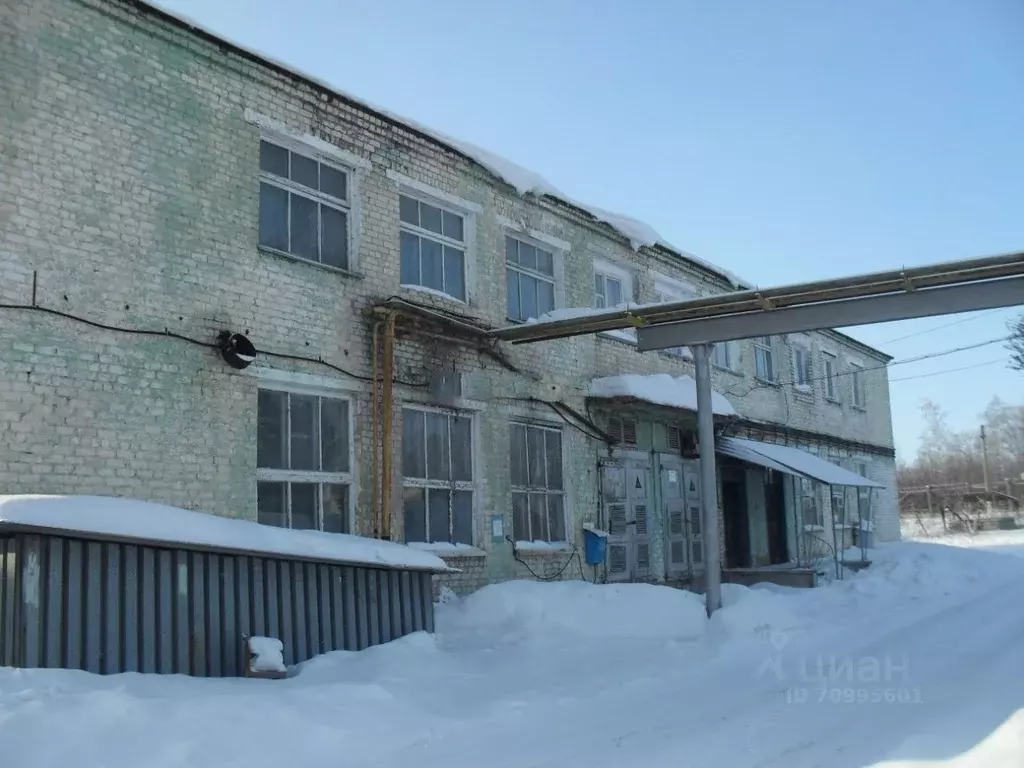 Производственное помещение в Самарская область, Сызрань Саратовское ... - Фото 0