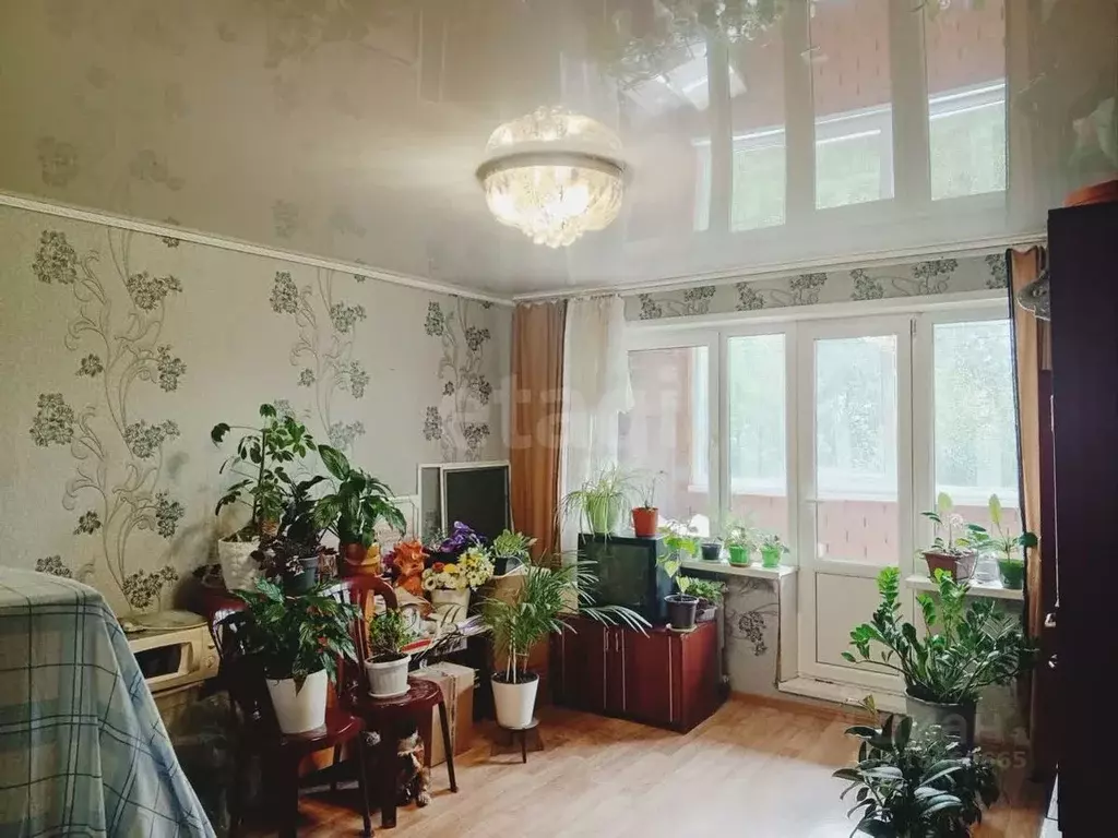 3-к кв. Калужская область, Сухиничский район, Середейский городское ... - Фото 0