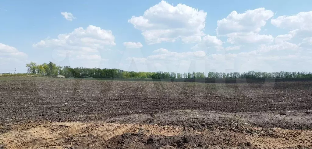 Участок 555 га (СНТ, ДНП) - Фото 0