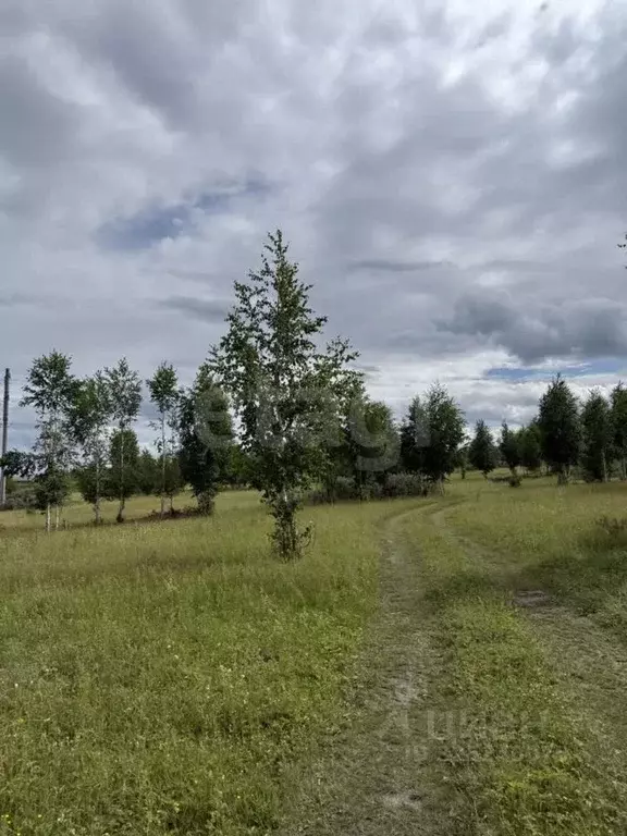 Участок в Красноярский край, Емельяновский муниципальный округ, пос. ... - Фото 2