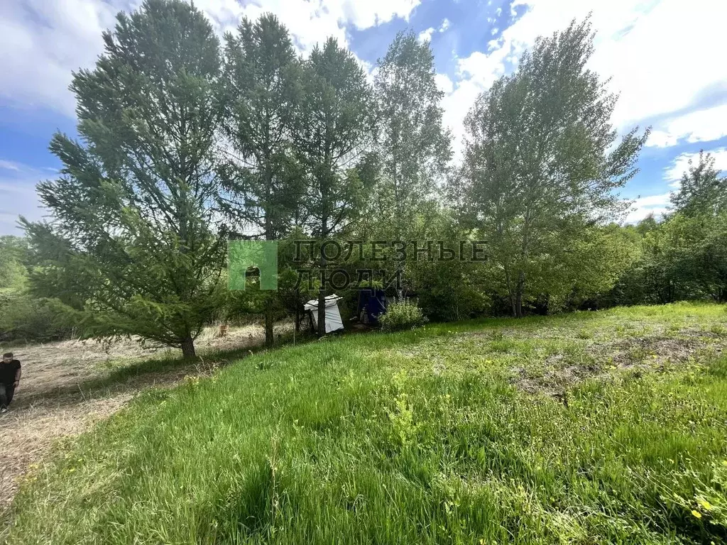 Участок в Амурская область, Благовещенск Эфир СНТ,  (10.9 сот.) - Фото 1