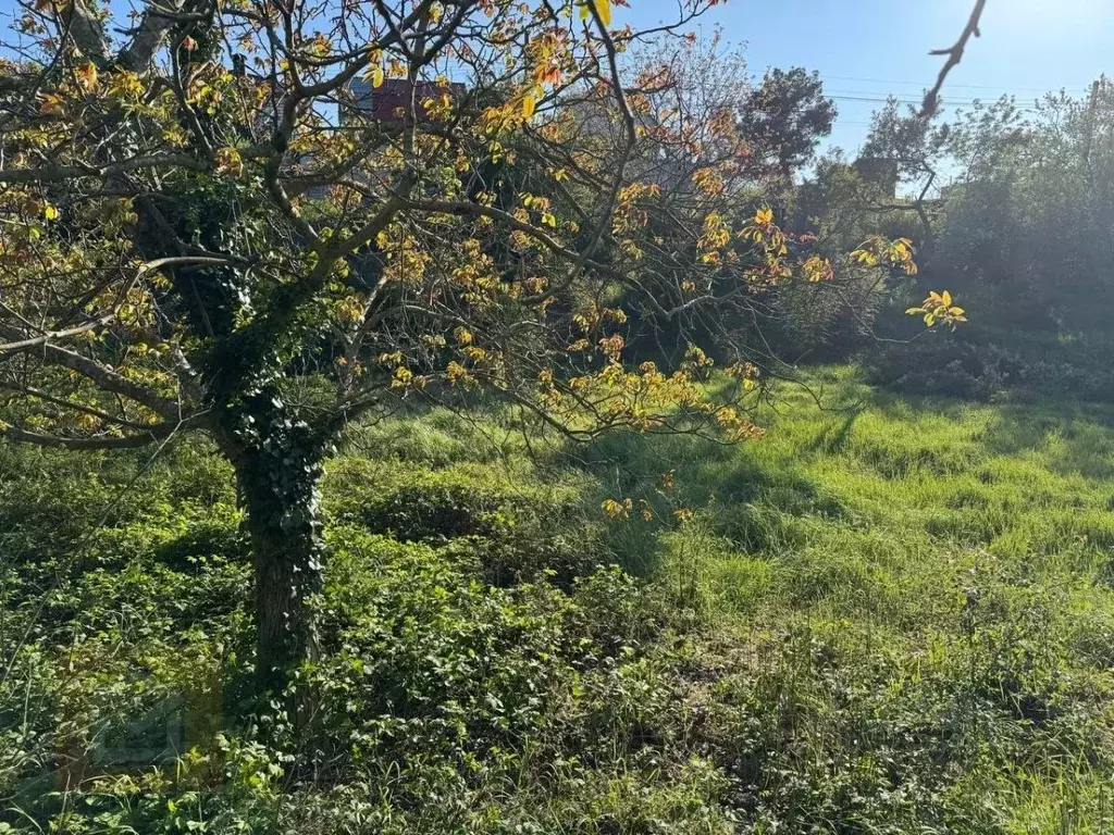 Участок в Севастополь ул. Ленина (11.0 сот.) - Фото 2