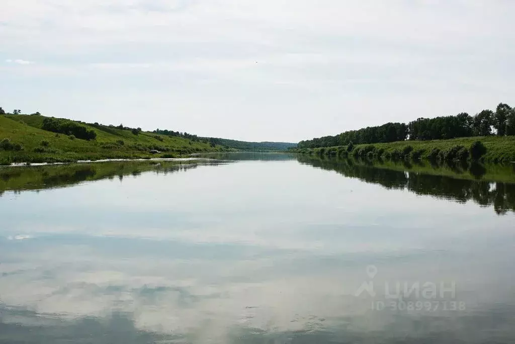 Участок в Липецкая область, Задонский район, Ксизовский сельсовет, с. ... - Фото 0