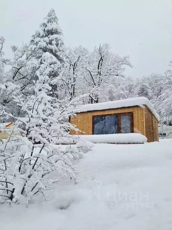 Дом в Краснодарский край, Сочи городской округ, Красная Поляна пгт ул. ... - Фото 0