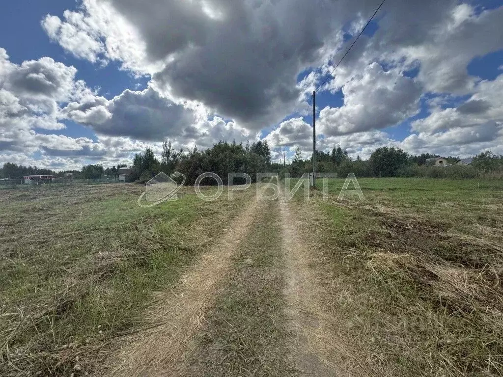 Участок в Тюменская область, Ярковский муниципальный округ, с. ... - Фото 2