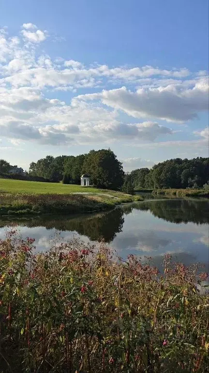 Участок в Московская область, Ленинский городской округ, д. Суханово ... - Фото 1