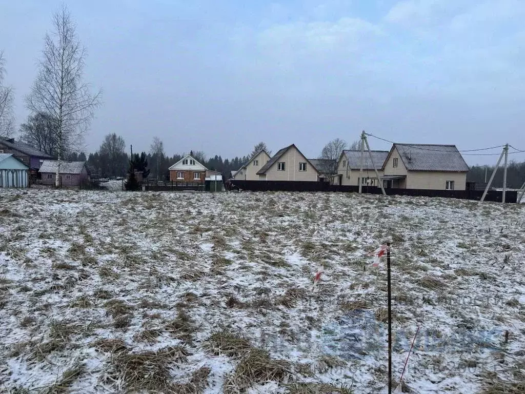 Участок в Ленинградская область, Ломоносовский район, Гостилицкое ... - Фото 1