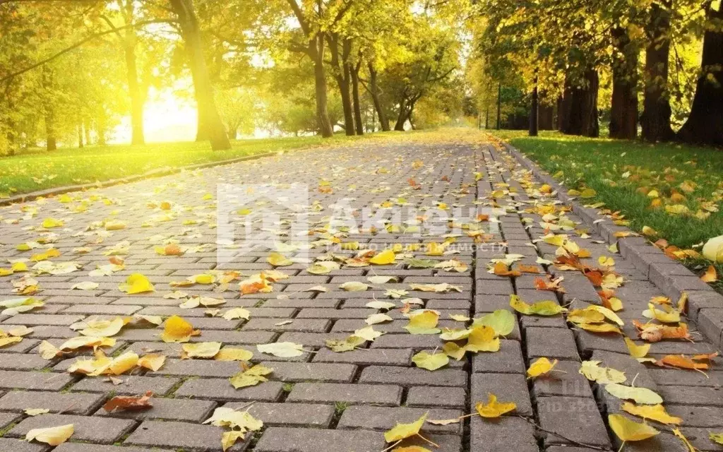 Коттедж в Ивановская область, Ивановский район, Коляновское с/пос, д. ... - Фото 1