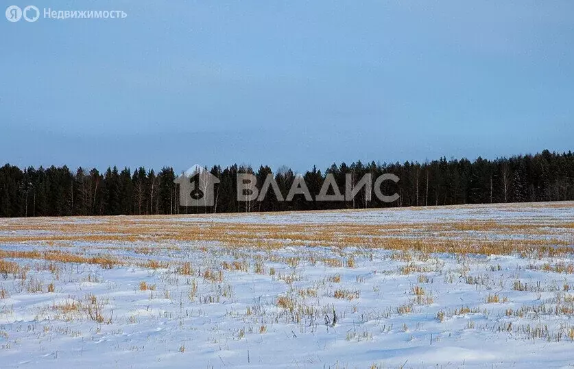 Участок в село Ворша, Цветочная улица, 18 (15 м) - Фото 0