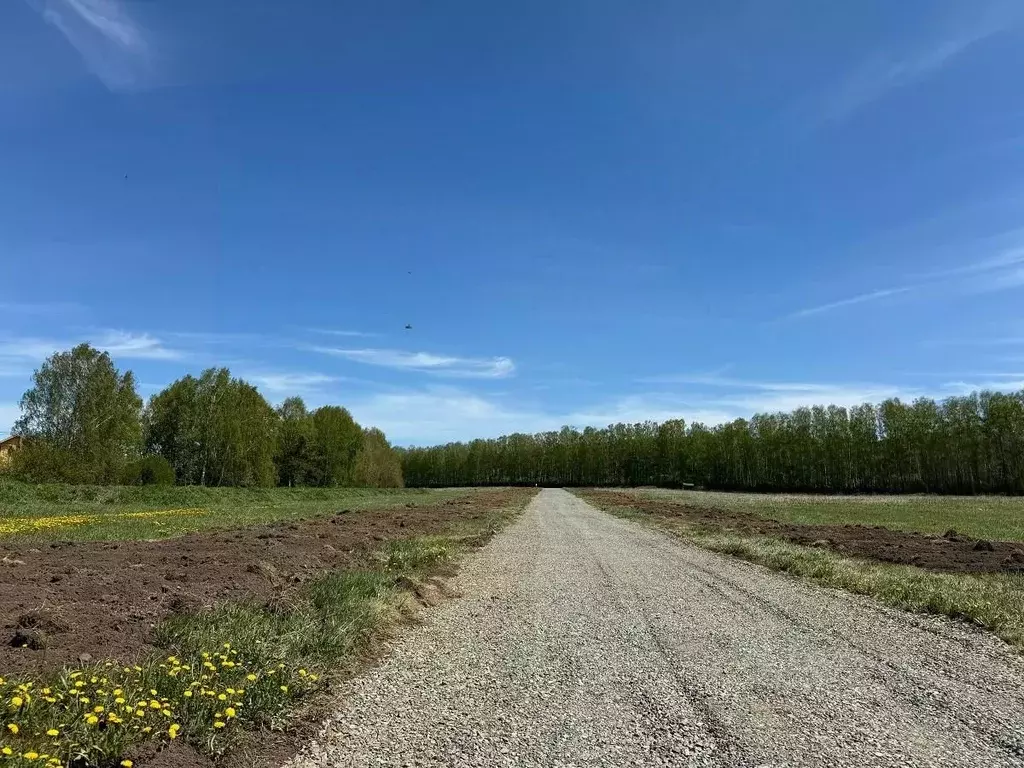 Участок в Свердловская область, Полевской муниципальный округ, с. ... - Фото 1